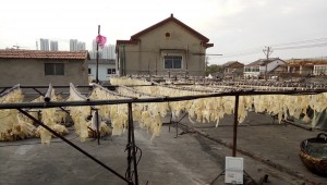 淮安豬皮食品豬皮烘干項(xiàng)目_CGF10/SN