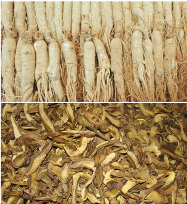 585d7c1c7b.jpg 585d7c1c7b.jpg