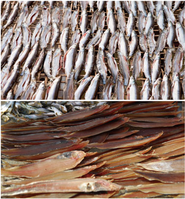 7750353249.jpg 7750353249.jpg