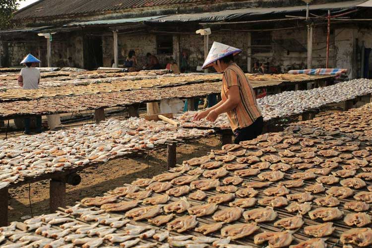 曬魚干.jpg