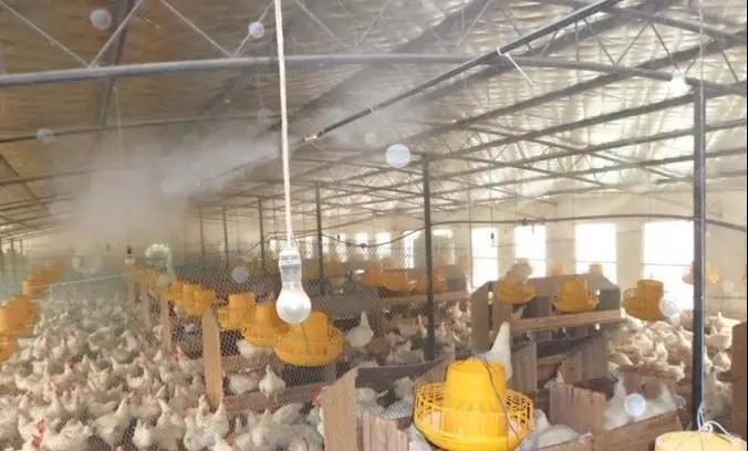 1541988025912698.jpg 微信圖片_20181112095952.jpg